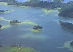 les lacs "Osterseen"; site protégé